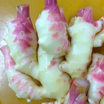 農薬・化学肥料不使用！とっても美味しい、安心の新生姜新生姜1㎏ 新生姜1㎏ 野菜/薬味通販
