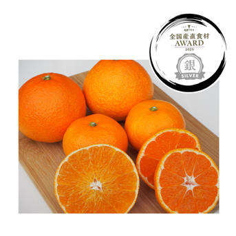 まどんな4.5キロ＋みかん4.5キロセット | 果物/オレンジ・その他みかん