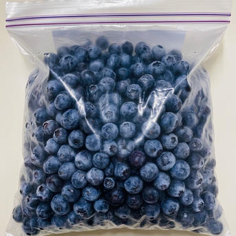 冷凍ブルーベリー 1.5kg ｜ 果物/ベリー類 産直アウル 農家・漁師など