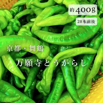 【京都・舞鶴産】朝採れ直送 万願寺とうがらし-良品6.8㌔以上 京都・舞鶴産】朝採れ直送 万願寺とうがらし 良品 約400g ｜ 野菜