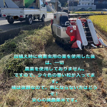 ヒノヒカリ 令和7年秋 10kg ｜ 米・穀物/米/精米 産直アウル 農家 