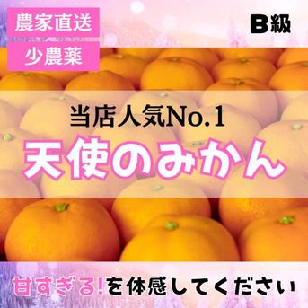 甘い!小さいサイズ! B級小玉の天使のみかん 有田みかん10kg 最