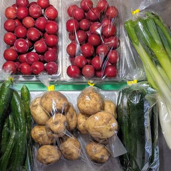 食品 新鮮野菜セット ズッキーニとじゃがいも 詰め合わせ