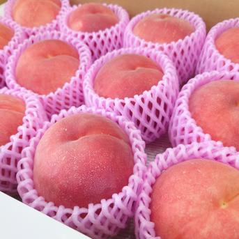 大きくて甘い桃 なつっこ L玉以上 約5kg【クール便】 ｜ 果物/もも