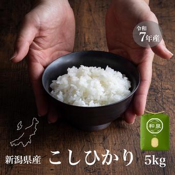 新潟県産コシヒカリ,和泉,5kg,令和7年新米,【受注後精米・農家直売