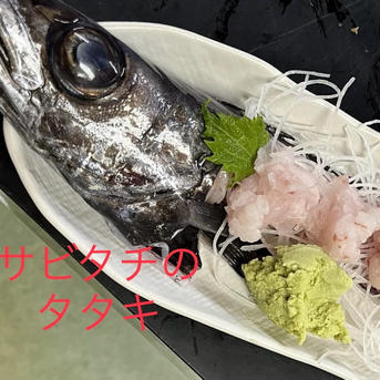 【9月予約先行】魚ガチャ！何が入っているかわからない【おかず】 おかず1 魚介類/魚介セット・詰め合わせ通販