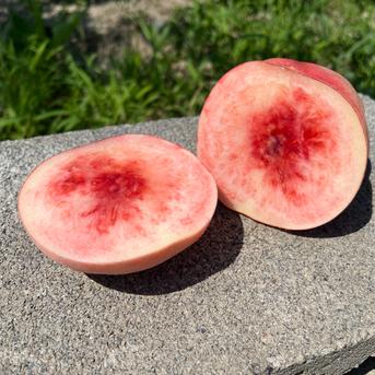 桃「まどか」家庭用5kg ｜ 果物/もも 産直アウル 農家・漁師など生産者