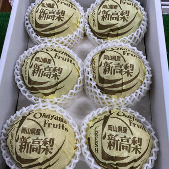 新高梨6玉入りギフト 6玉入りで約4kg 果物/梨通販