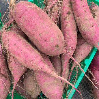 さつまいも(紅はるか)４キロ 約4.0キロ 野菜/さつまいも通販