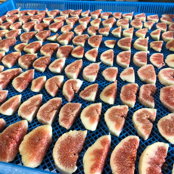 【送料込】無添加　ドライいちじく 2袋　100g 果物/果物の加工品通販