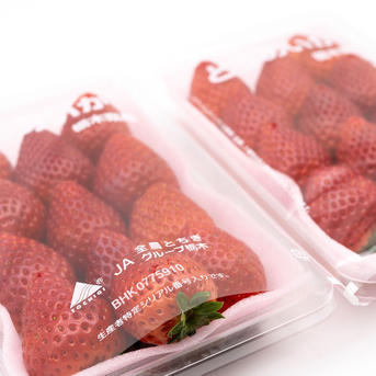 とちあいか平パック Aサイズ3箱6パック ｜ 果物/いちご 産直アウル