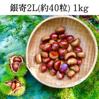 Rie 3 L 20kg 栗 Rie様専用 3 L 20kg 栗 - メルカリ