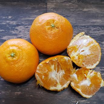 箱込約10㌔ 甘平 | 果物/オレンジ・その他みかん 産直アウル 農家から