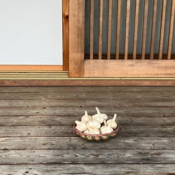 自然栽培　乾燥にんにく　箱込５kg 4700g 野菜/にんにく通販