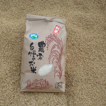 令和４年度産新米！コシヒカリ５kg ５kg 米・穀物/米/精米通販