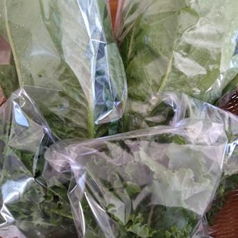 冬の葉物詰め合わせ 約1.9㌔入るだけ 野菜/野菜セット・詰め合わせ通販