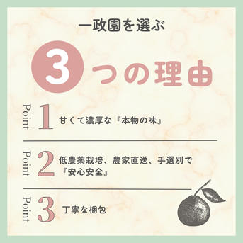 上野早生 箱込み3キロMサイズ 家庭用 有田みかん 低農薬 極早生 | 果物