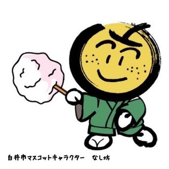 【幸水】3kg （12玉） 【家庭用】 2024夏！甘くてジューシーな梨！ 3kg 果物/梨通販