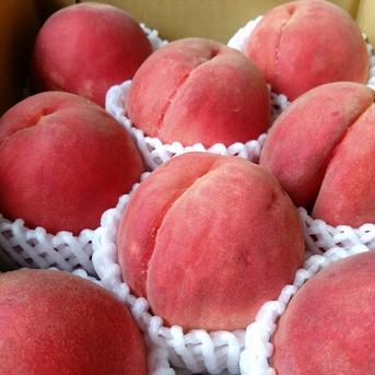 桃 4キロ 2箱 クール 🆒クール便🆒【南アルプスの桃🍑幸茜】4キロ 減農薬/無肥料