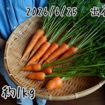 奥出雲産自然栽培葉付き人参(1kg) ｜ 野菜/人参 産直アウル 農家・漁師