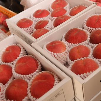 美晴白桃】3㎏ 《数量&期間限定販売》 ｜ 果物/もも 産直アウル 農家
