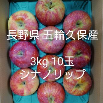 長野県 五輪久保産 シナノリップ 3kg 10玉 3kg 果物/りんご通販