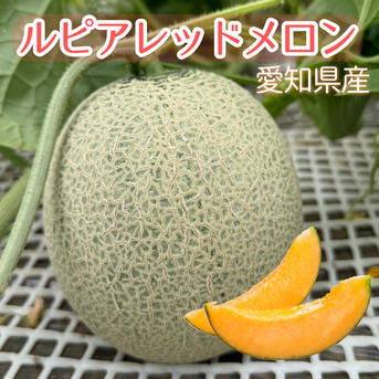 ルピアレッドメロン　6L2玉 B品】ルピアレッド 6L2玉 ｜ 果物/メロン 産直アウル 農家・漁師など