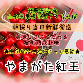 産地直送 マクワウリ 鮮度良好 10キロ クール便 おすすめ商品】まくわ