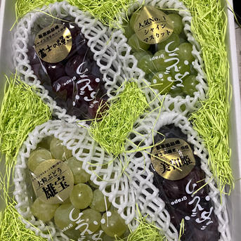 超高級4種ぶどう親子食べ比べセット！超希少新品種富士の輝、美和姫