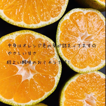 有田みかん 4.5キロ訳ありみかん B級品 サイズ混合 ｜ 果物/温州