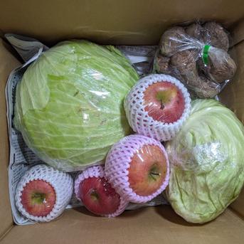 キャベツ、サトイモ、ホウレンソウ、わさび菜、ネギ、リンゴ 約5.3kg 野菜/野菜セット・詰め合わせ通販
