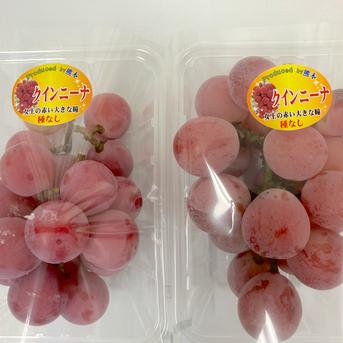 熊本産 赤ぶどう クイーンニーナ 特A優品 高級 2パック 約300g 2p 脱粒