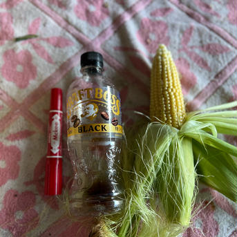【訳あり】とうもろこし　群馬県東吾妻町産　20本 とうもろこし　20本 野菜/とうもろこし通販