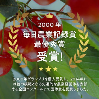 【大玉さくらんぼ】 2～3L 並べ 約700g 山梨県産 化粧箱入り 約700g 果物/さくらんぼ通販