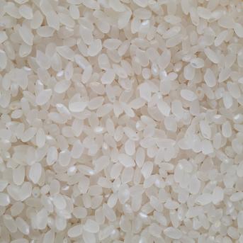 令和3年産あきたこまち　玄米20kg(10kg×2袋) 玄米10kg×2 米・穀物/米/精米通販