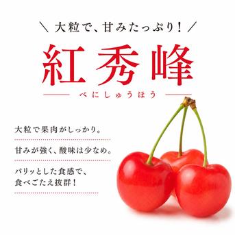 クール便発送 朝採り当日発送 減農薬栽培さくらんぼ ギフトに大人気
