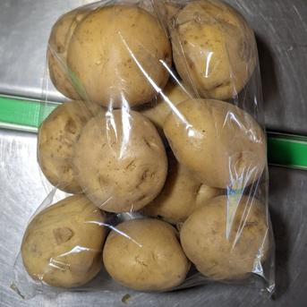 アマトウガラシ、キュウリ、シシトウ、ジャガイモ、トマト、スモモ、桃 5250g 野菜/野菜セット・詰め合わせ通販