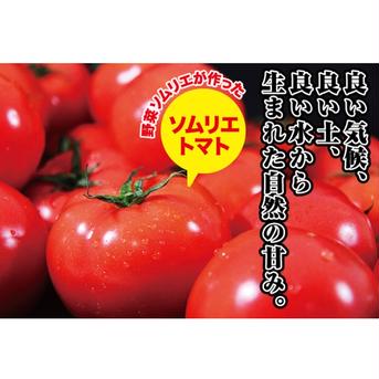 【極み】⑧ソムリエトマト　1.3kgとソムリエミニトマト　プラチナ500gダイヤ500gのセット（60玉から90玉） 2.3kg（トマト1.3kgミニトマト各500g） 野菜/野菜セット・詰め合わせ通販