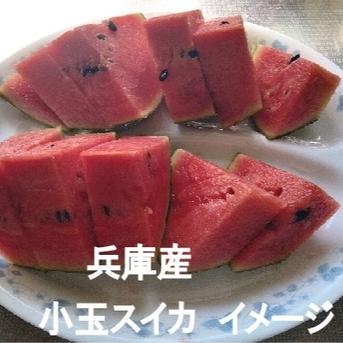 兵庫産　ニュー小玉スイ②　２７００ｇ　訳あり 兵庫産　ニュー小玉スイ②　２７００ｇ　訳あり 果物/スイカ通販
