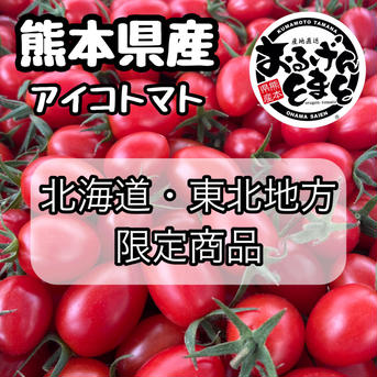 【北海道・東北地方限定‼︎】熊本県産 完熟アイコ『おるげんとまと』1.2kg 1.2kg 野菜/トマト通販