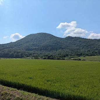 きぬひかり【玄米】 20kg 令和7年産 京都府京丹波町産 ｜ 米・穀物