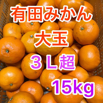 食べ応え十分！有田みかん大玉　15kg 箱込み15kg 果物/温州みかん通販