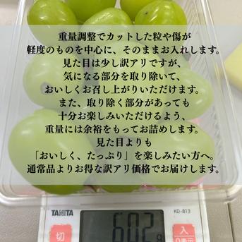 訳アリ送料込【つぶつぶ雄宝1kg】次世代シャインマスカット 特別栽培