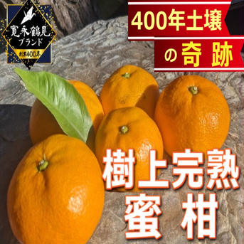 みかん【日テレ出演話題沸騰】樹上で限界ギリギリまで完熟させた樹上完熟ミカン🍊寛永鶴見ブランド樹上完熟蜜柑お試し約3キロ 樹上完熟蜜柑約3キロ 果物/オレンジ・その他みかん通販