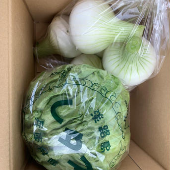 淡路島のレタス🥬と新玉ねぎセット🧅！レタス1玉、新玉ねぎ1kg レタス1玉、新玉ねぎ1kg 野菜/野菜セット・詰め合わせ通販