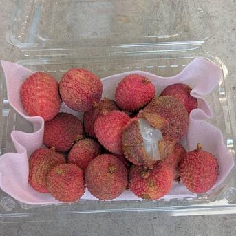 訳あり　生ライチ 350グラム　2パック 果物/その他果物通販