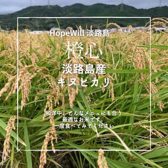 キヌヒカリ玄米20kg🌾橙心🌾令和7年度産🌾淡路島からの新米キヌヒカリ