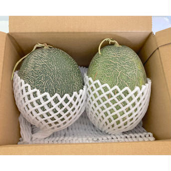 【訳あり家庭用】　肥後グリーン メロン 　2玉入り　2kg以上　ご家庭用 贈答用不可 箱込み　2玉入り　2kg以上 果物/メロン通販