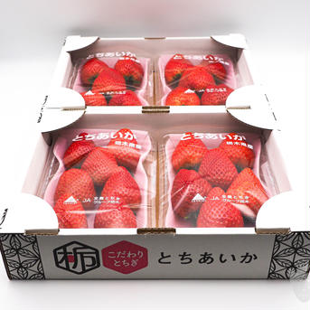 いちご王国ニューフェイス！【とちあいか】4箱8パック 4箱8パック入り　(1パック280g以上) 果物/いちご通販