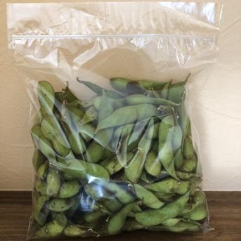 丹波黒大豆の若さや（固定種）バラ莢【１０月１０日頃から順次出荷】６ｋｇ （500gｘ12袋） ６ｋｇ （500gｘ12袋） 野菜/豆類通販
